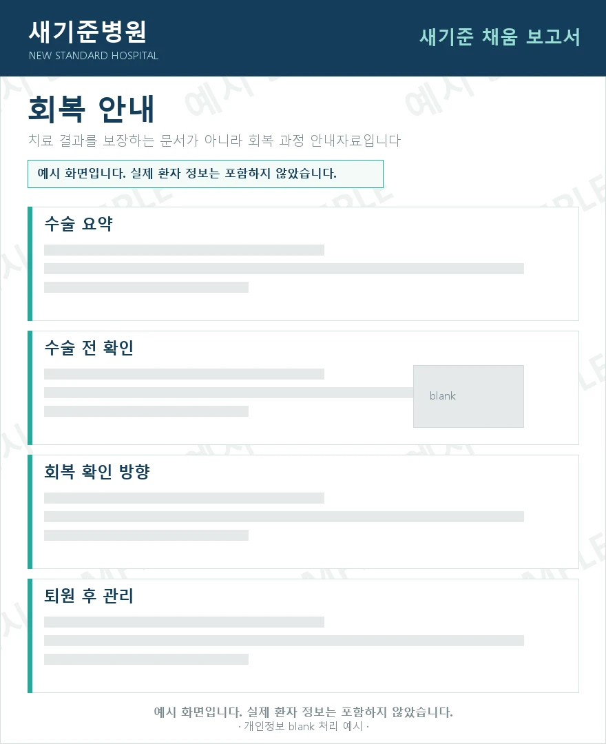 개인정보를 blank 처리한 새기준 채움 보고서 예시 화면